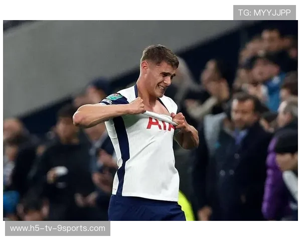 热刺中卫表现抢眼，防守端稳定提升，热刺中后卫引援