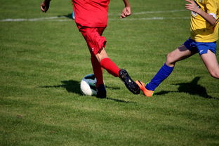 九游娱乐app下载-中国足球年度训练项目与技战术实战匹配，中国足球队战术