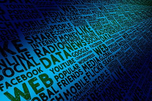 九游官网入口活动-体育社会组织自律机制与评估标准构建，体育社会组织的作用  第3张