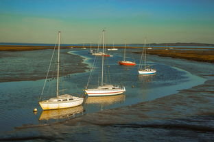 九游娱乐app下载-兴隆湖上演“国际艇战”，多国精英争锋